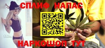 твердый Новокубанск