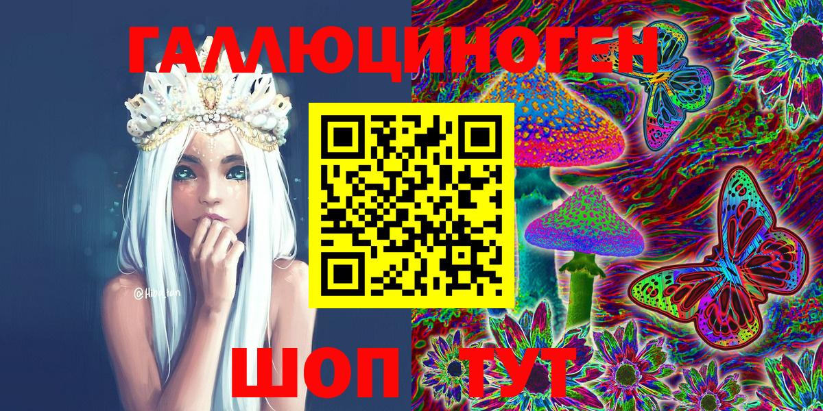 Галлюциногенные грибы Psilocybine cubensis Алейск