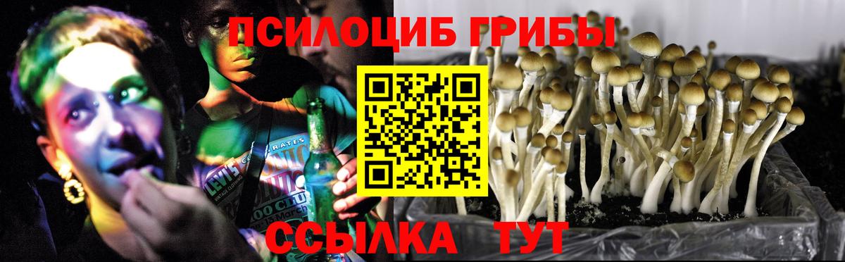 Псилоцибиновые грибы Cubensis  Вход с VPN  Алейск 